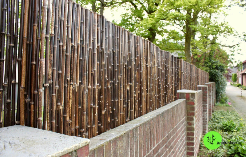 inspiracia bambusový plot